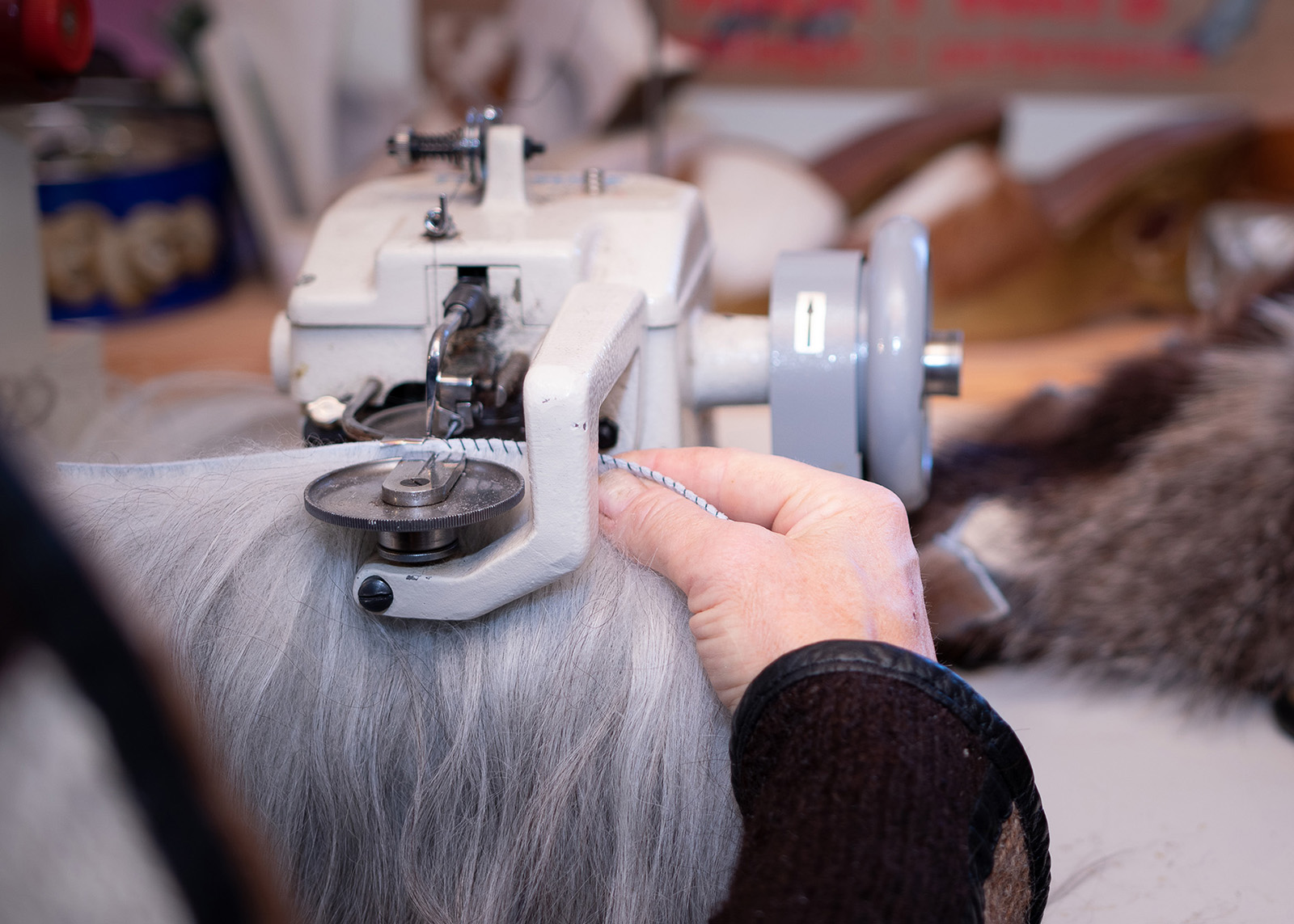 Håndverker Bine Melby med skreddersøm av etisk pels fra gamle norske husdyrraser. Foto: Birgitta Margareta Lindén